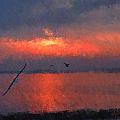 Winged Sunset